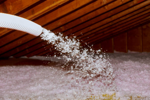 Best Insulation for New Construction  in Fort Worth, TX
