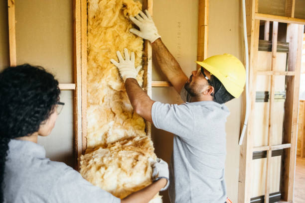 Best Crawl Space Insulation  in Fort Worth, TX