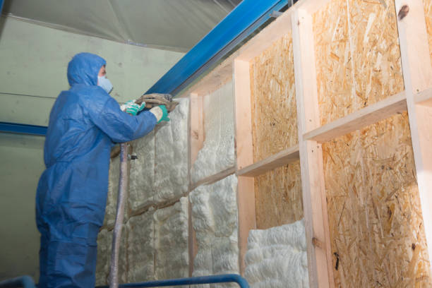 Best Home Insulation Services  in Fort Worth, TX