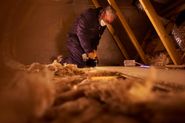 Best Fiberglass Insulation  in Fort Worth, TX