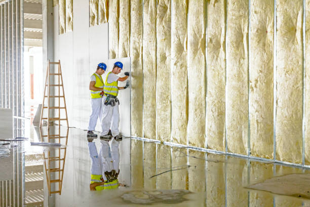 Best Wall Insulation Contractor  in Fort Worth, TX